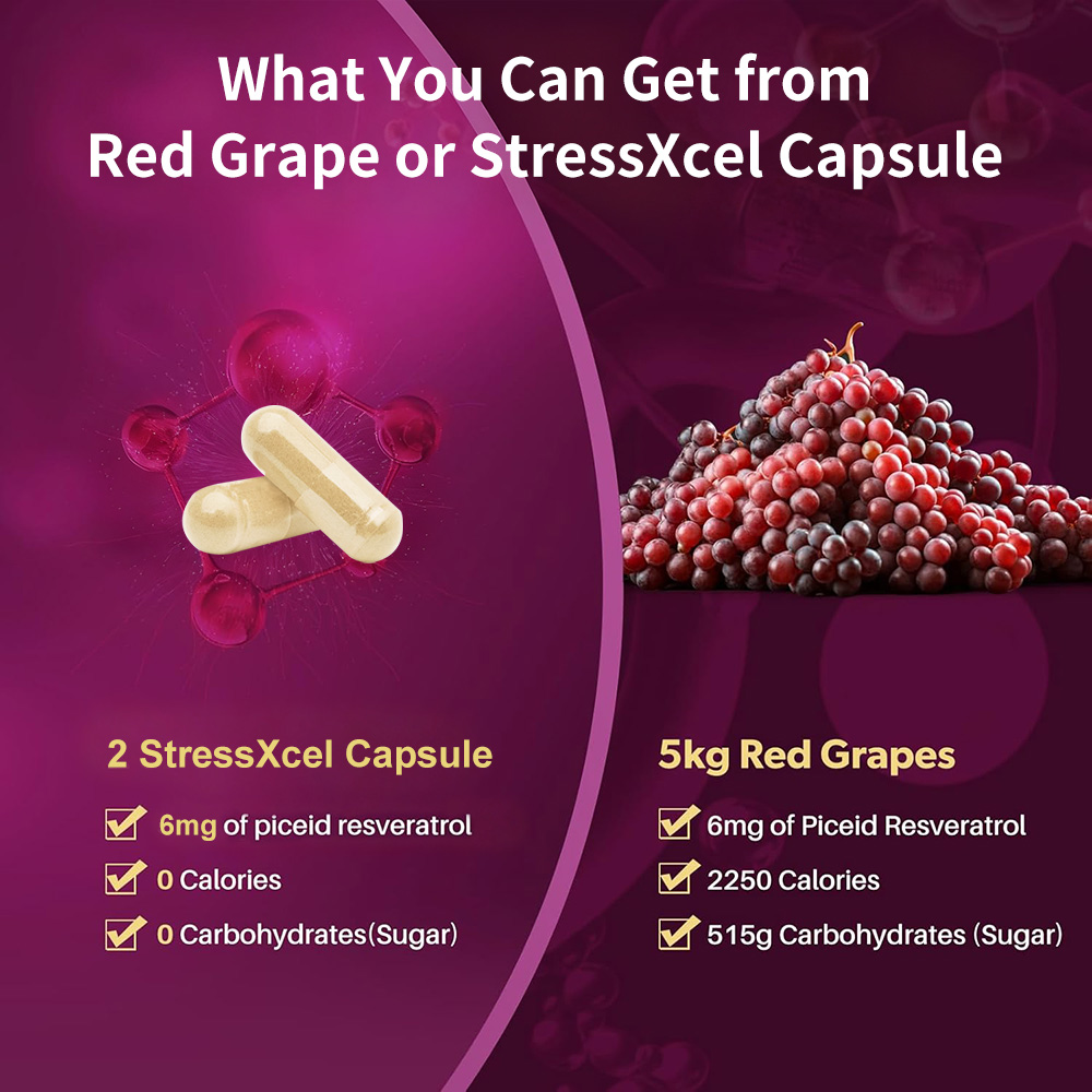 High Potency Resveratrol Suppl - Resveratrol Capsule Anti Aging 评论和价格