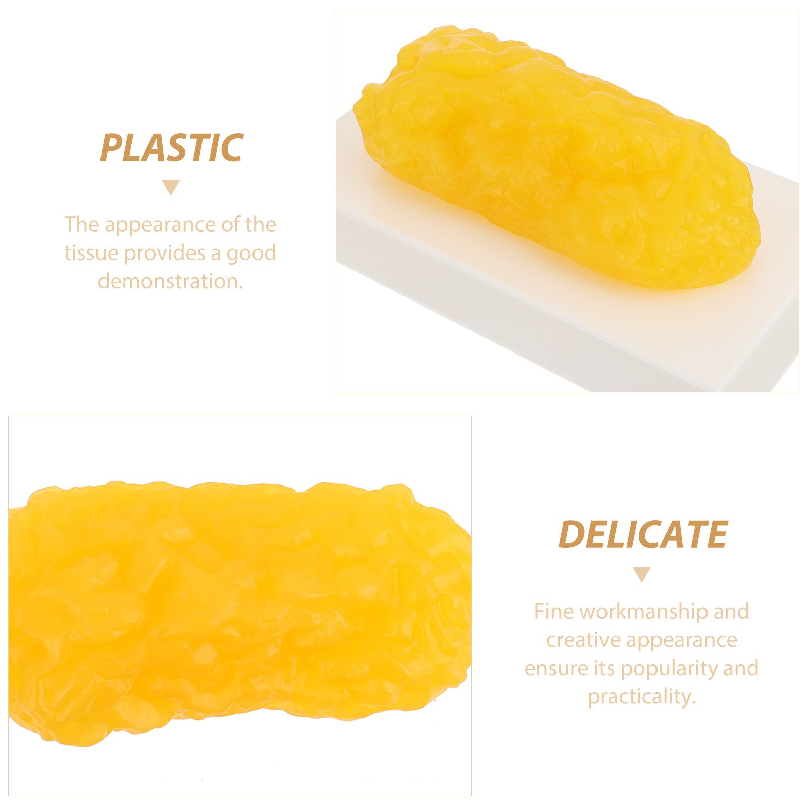 Human Body Fat Pound Plastic F - Nutrition In Fitness 评论和价格