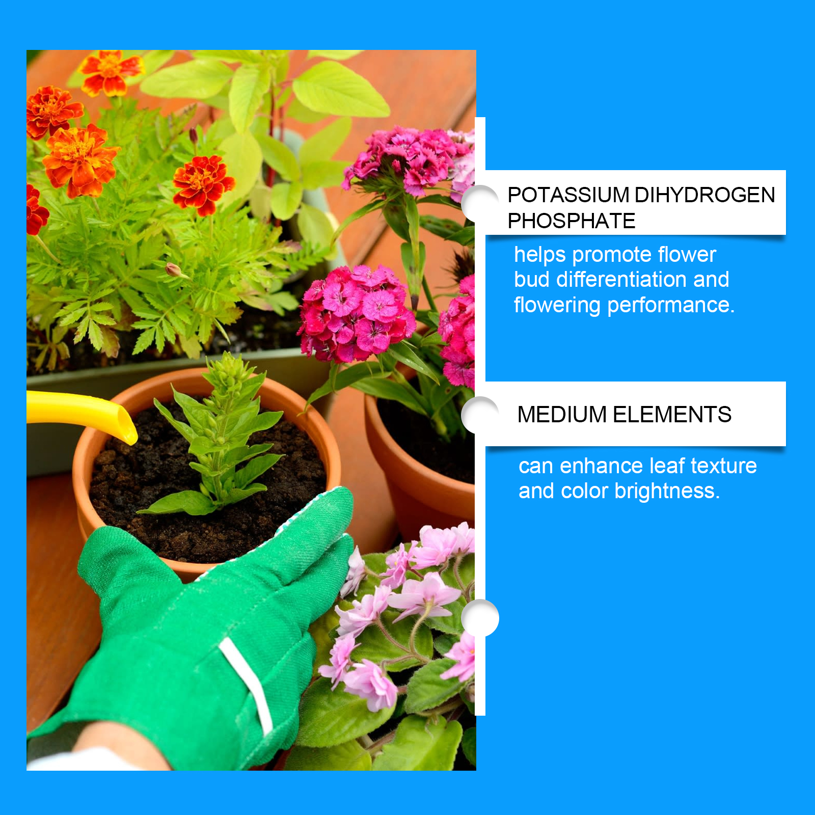 Flower Nutrient Solution Liqui - Nutrition & Fitness Coaching Fulham 评论和价格